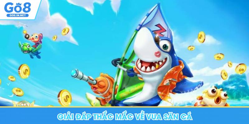 Giải đáp thắc mắc về Vua Săn Cá Go8 